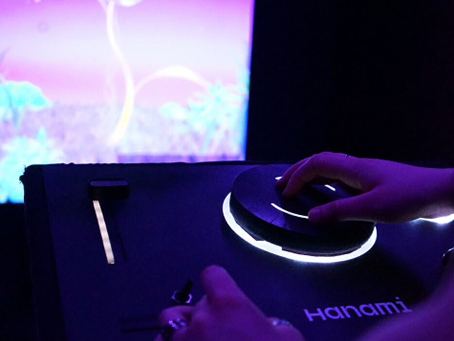 Project Hanami, interactive installation, interactive experience