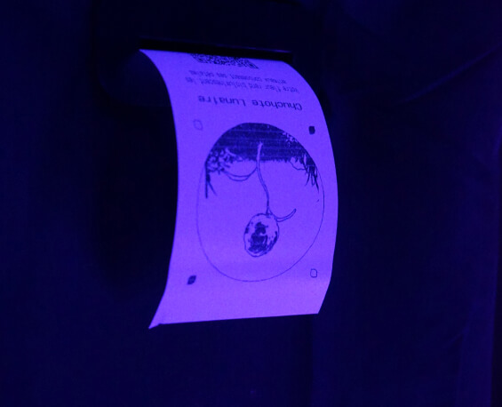 Hanami, interactive installation and immersive experience, ticket