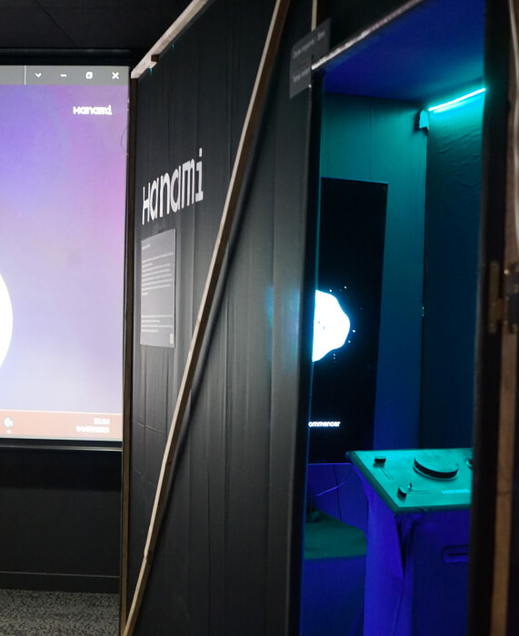 Hanami, interactive installation and immersive experience, overview photo