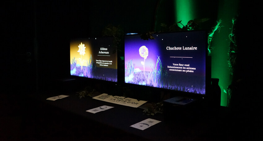 Hanami, interactive installation and immersive experience, overview