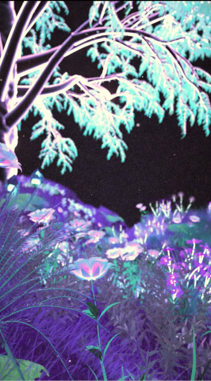 Hanami, interactive installation and immersive experience, visual