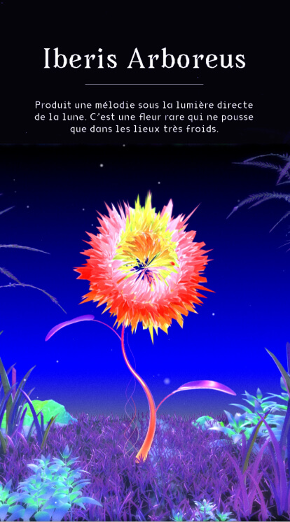 Hanami, interactive installation and immersive experience, visual