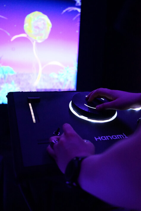 Hanami, interactive installation and immersive experience, overview photo