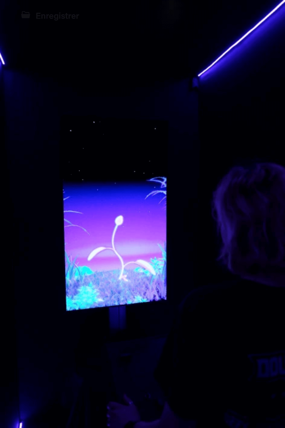 Hanami, interactive installation and immersive experience, overview photo