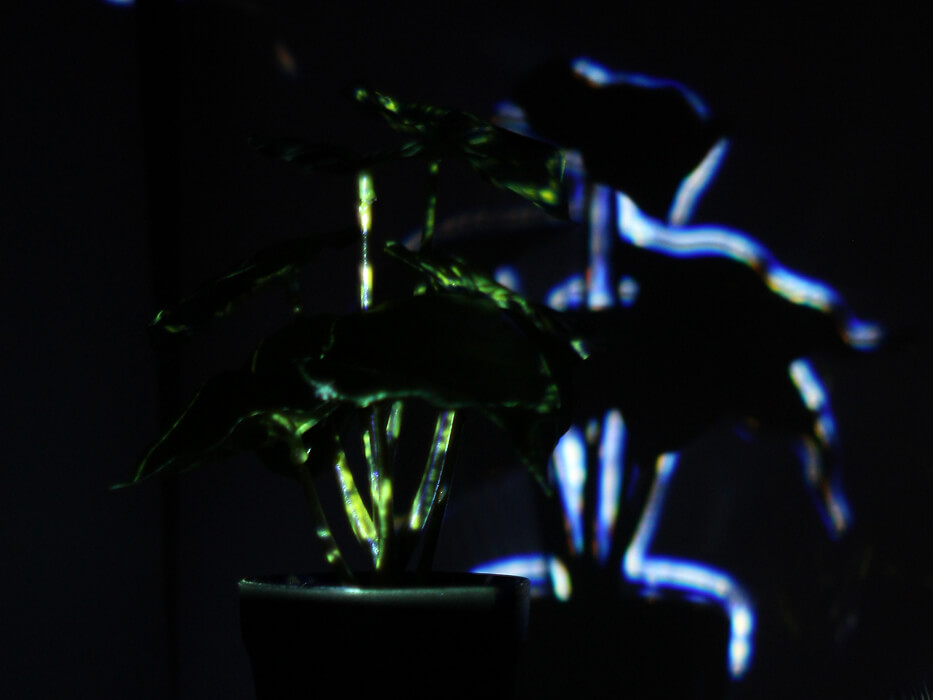 visual art plant mapping