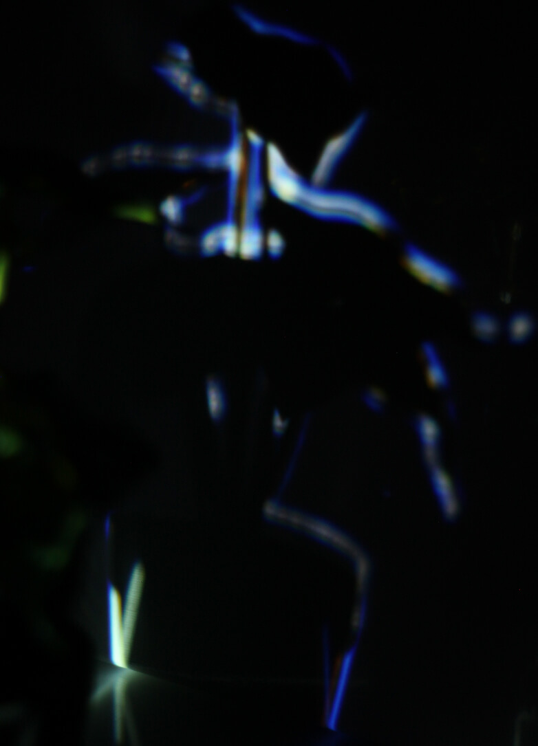 visual art plant mapping