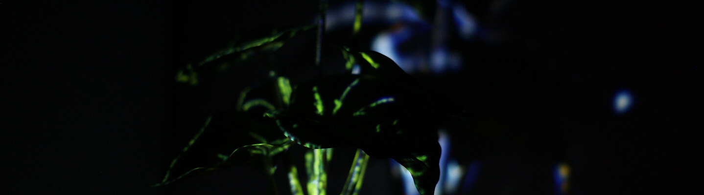 visual art plant mapping banner