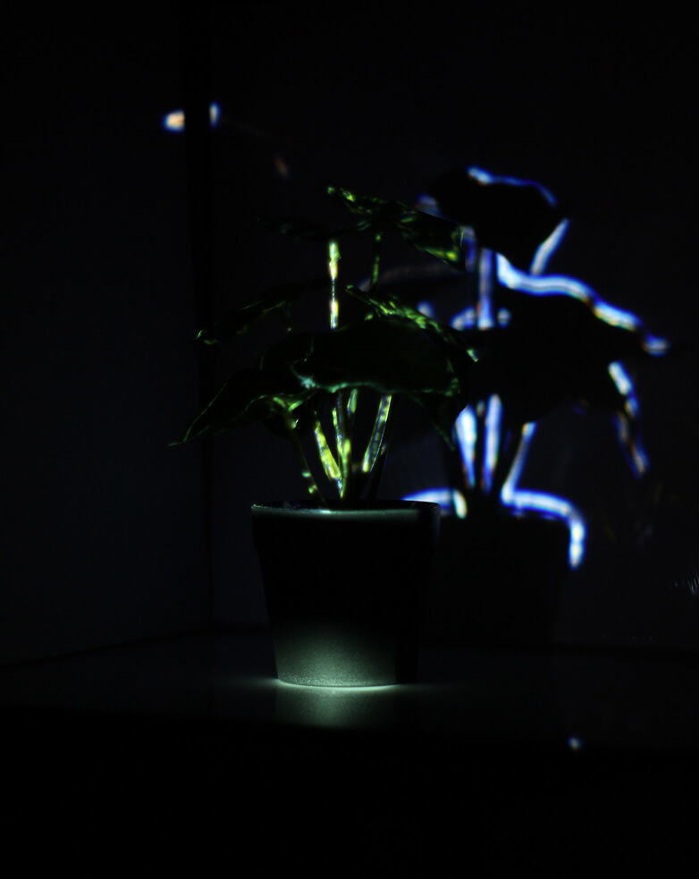 visual art plant mapping