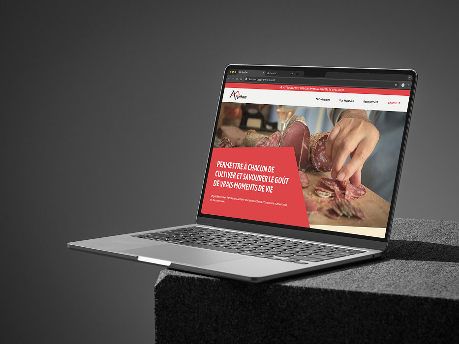 Project Group Arpitan, website, wordpress, gtrsuite